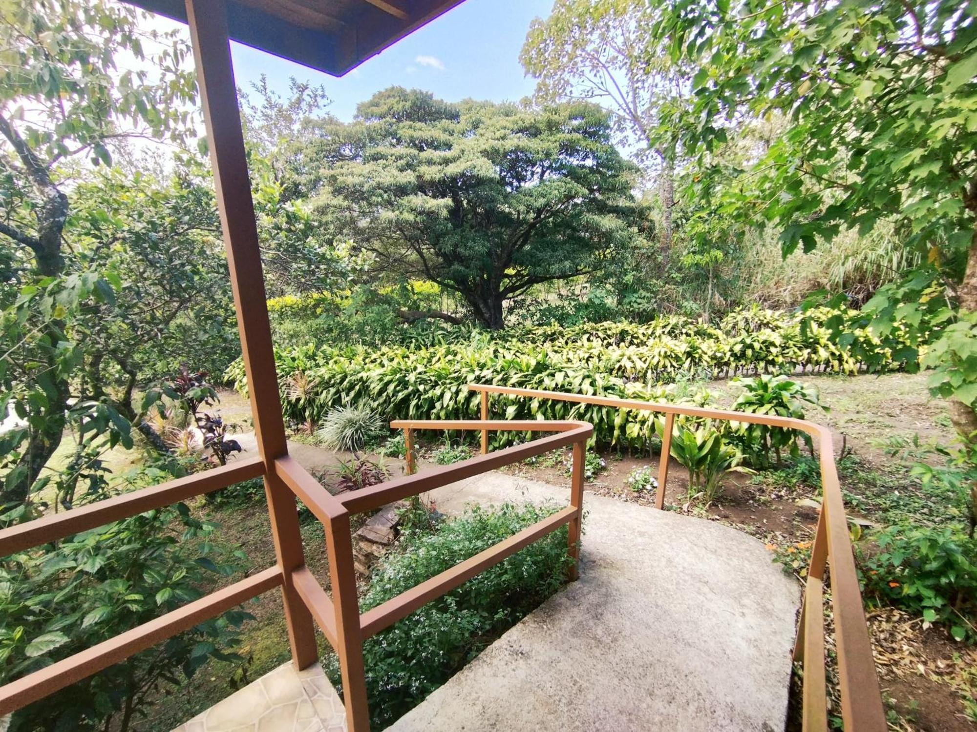 Las Marias Monteverde - Mountain View Cottages & Gardens Экстерьер фото