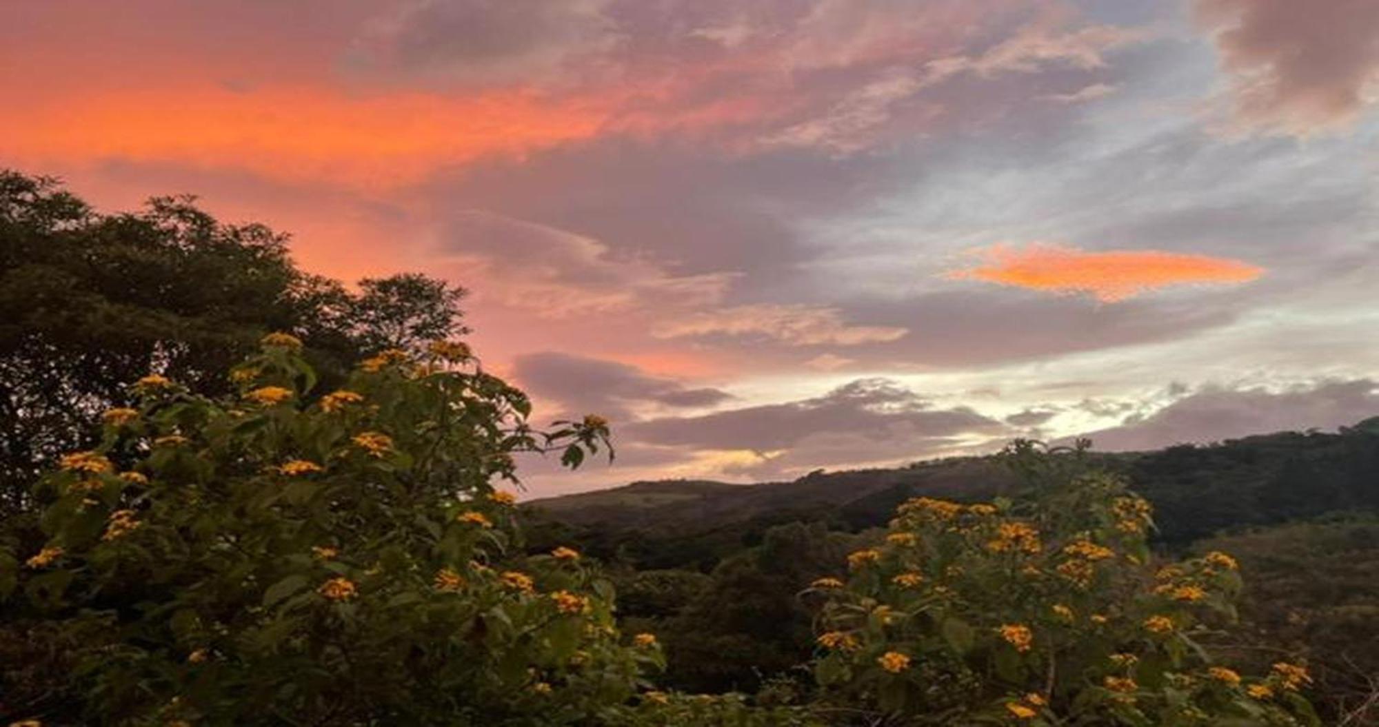 Las Marias Monteverde - Mountain View Cottages & Gardens Экстерьер фото